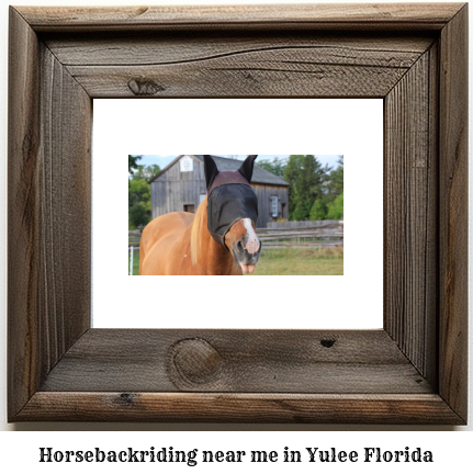 horseback riding near me in Yulee, Florida